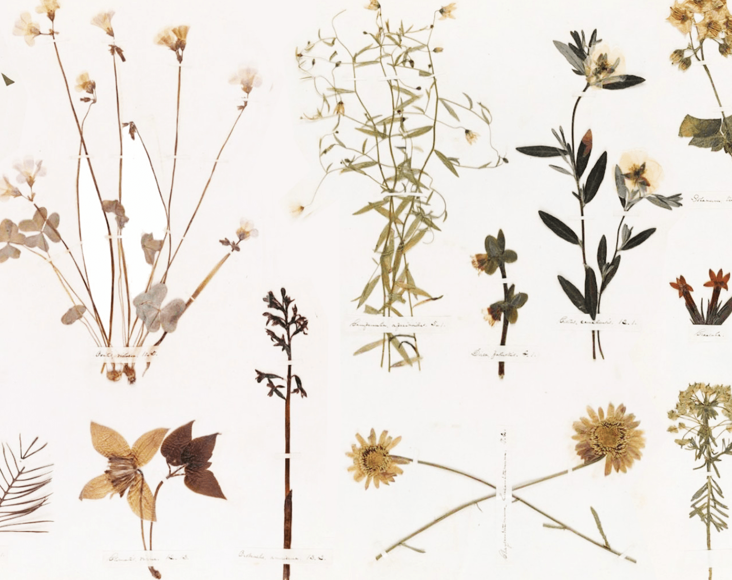 screen-shot-2017-02-12-at-10-57-43-am