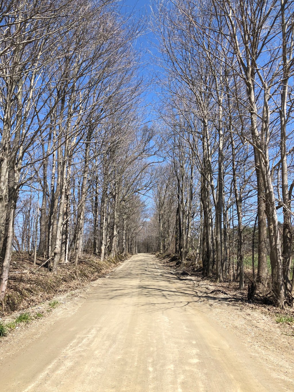 While the stem is winding one of those little lines about&nbsp;itself