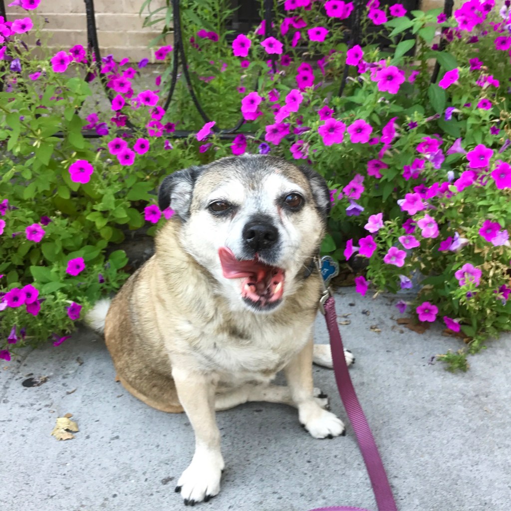 every memory is turned over and over&nbsp;again