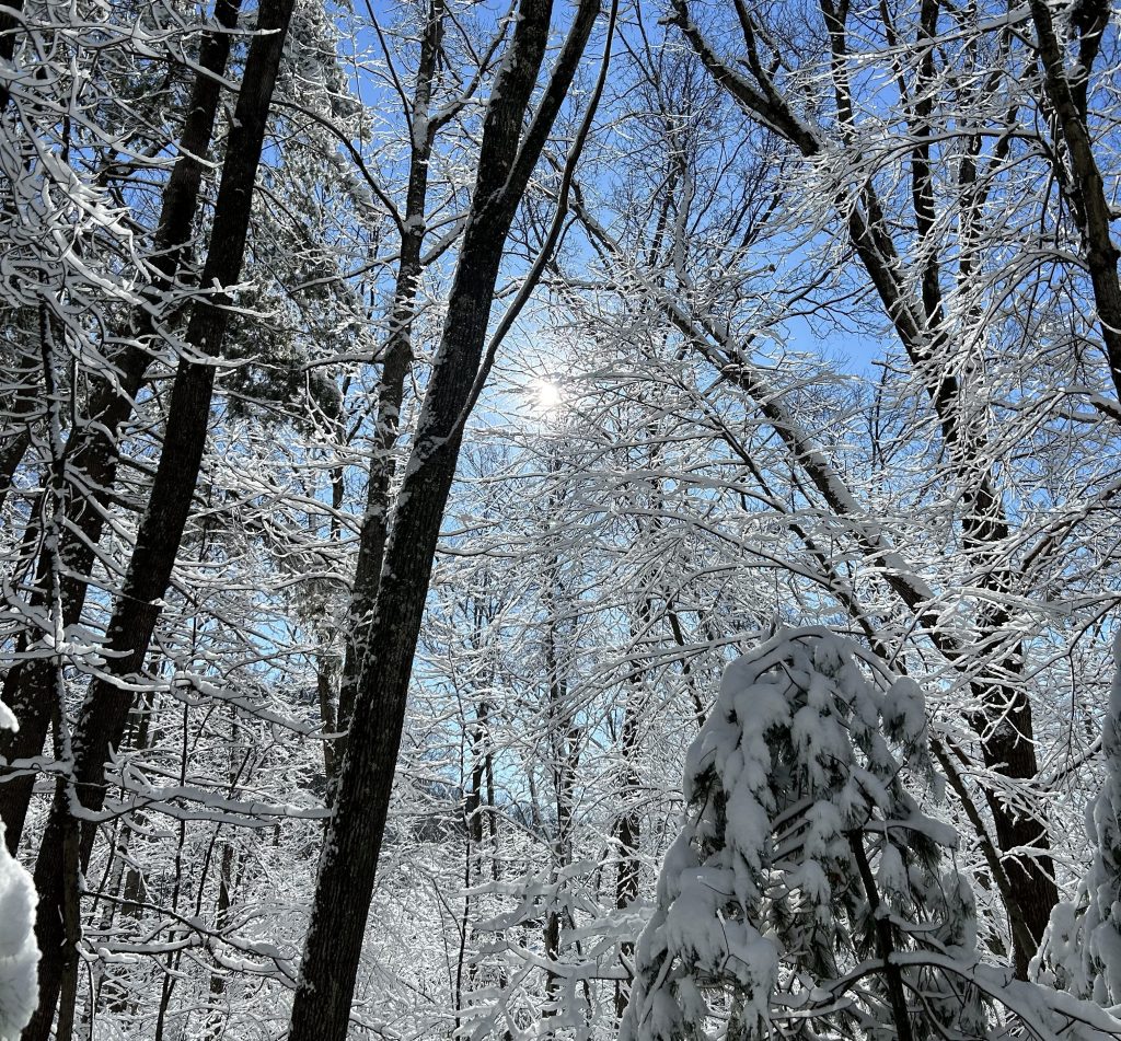 let it be&nbsp;extravagant